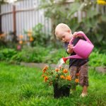 Corona-Quarantäne im Garten – die besten Tipps gegen Langeweile